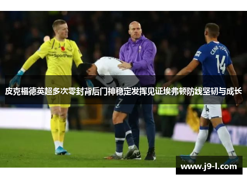 皮克福德英超多次零封背后门神稳定发挥见证埃弗顿防线坚韧与成长